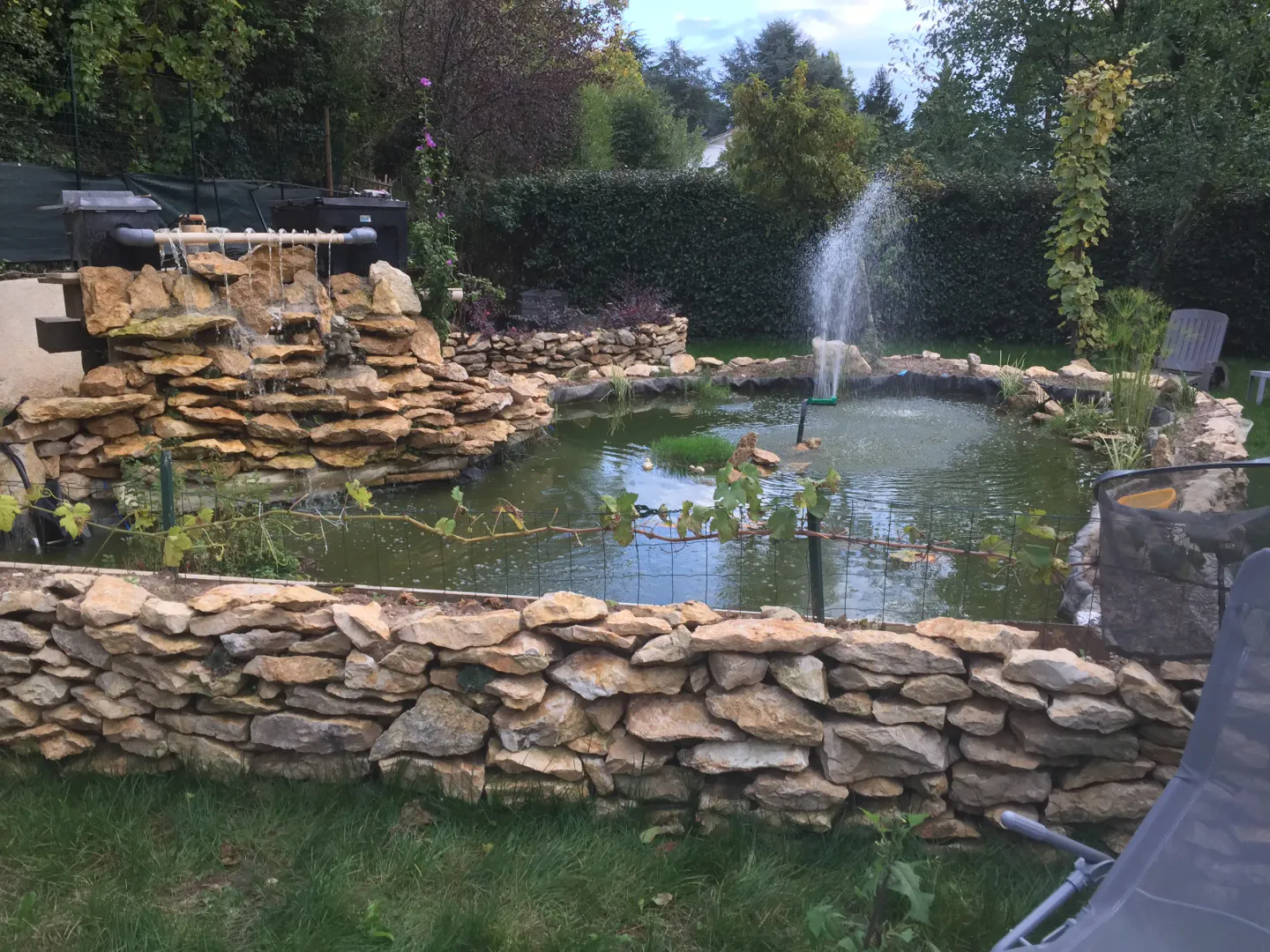 Un bassin entouré de pierres et de verdure